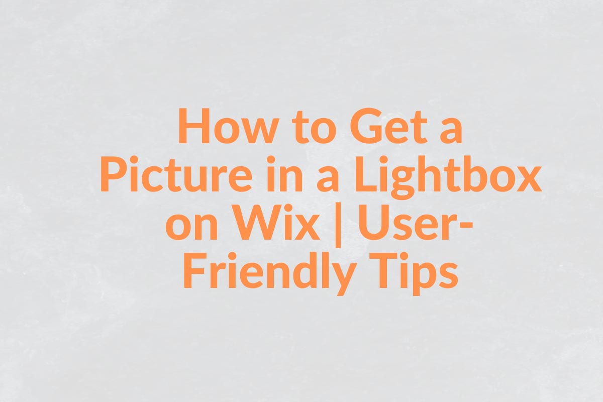 How to Get a Picture in a Lightbox on Wix | User-Friendly Tips