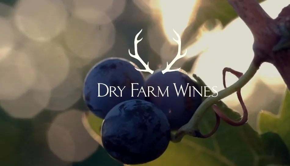Dry Farm Wines Reviews