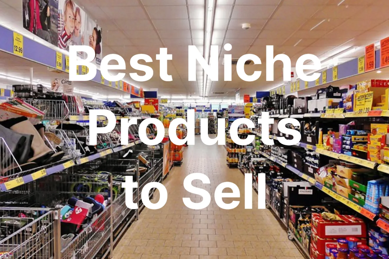 13 Best Niche Products to Sell In 2023
