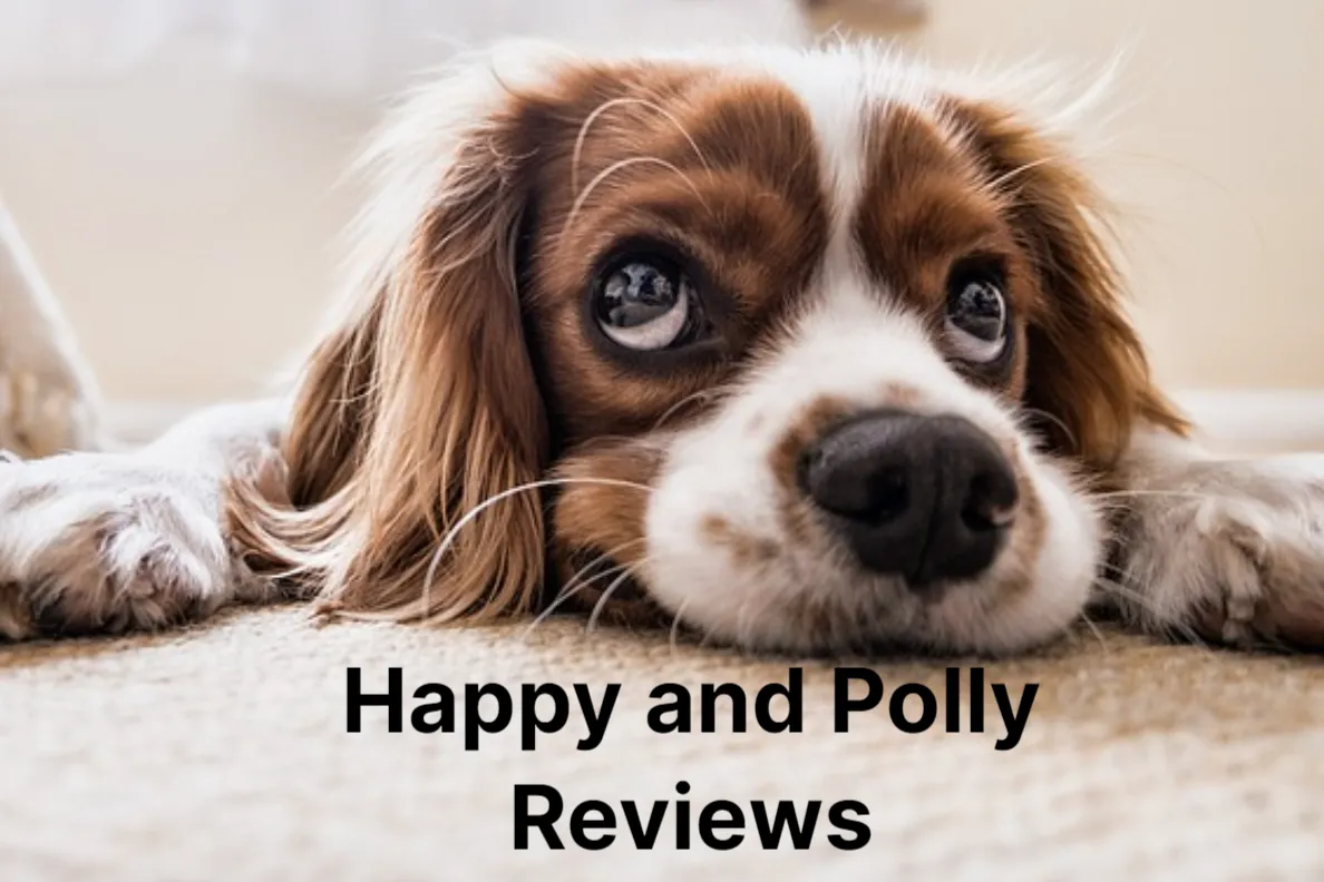 Happy and Polly Reviews – Are Their Pet Products Worth It?