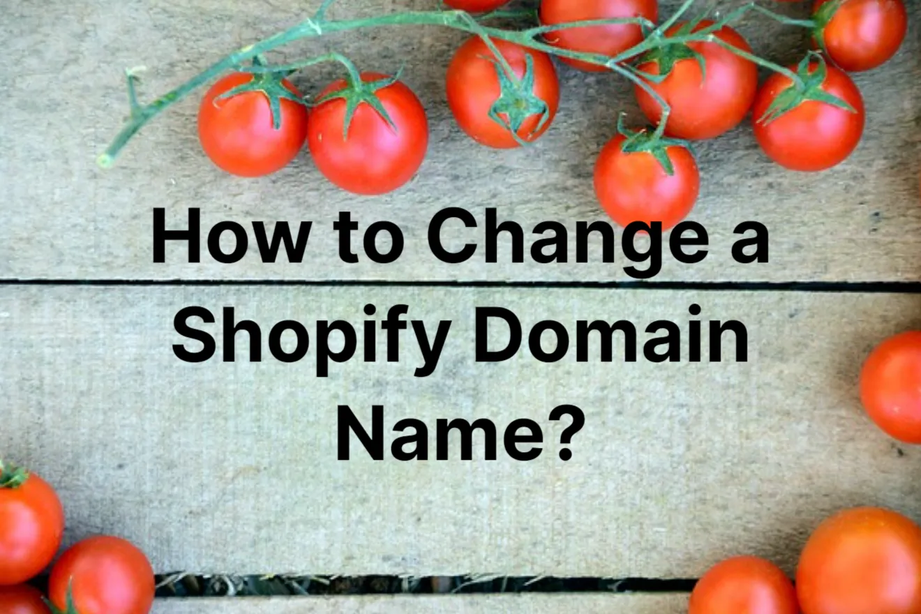 How to Change a Shopify Domain Name: Step-by-Step Guide 2023