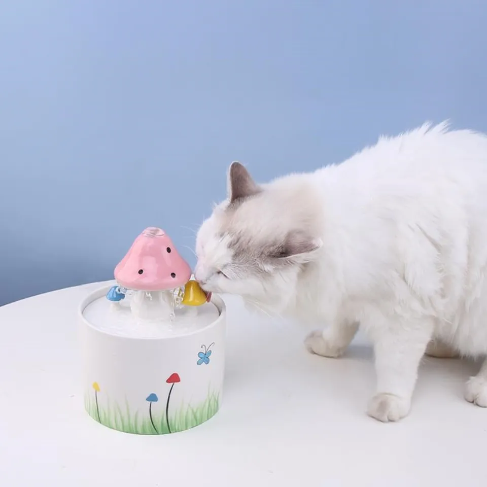 Happy and Polly Mushroom Cat Water Fountain Reviews