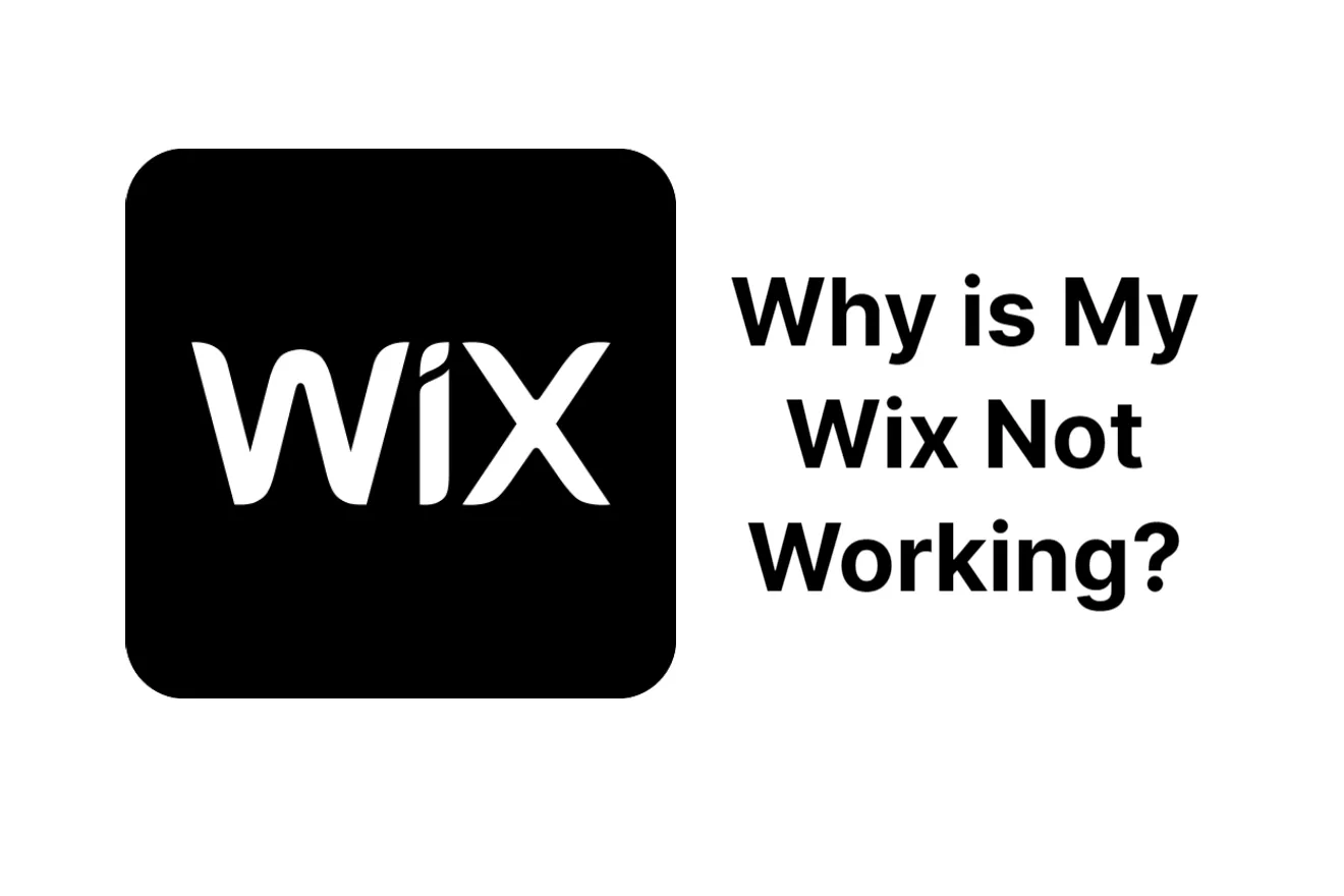 Why is My Wix Not Working | Fix the Problems
