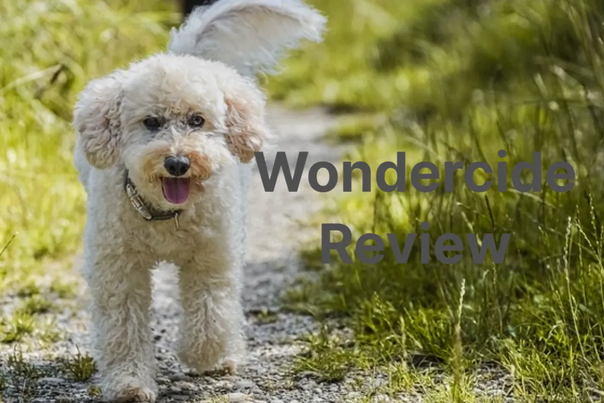 Wondercide Review – Are They Effective at Removing Ticks on Pets?