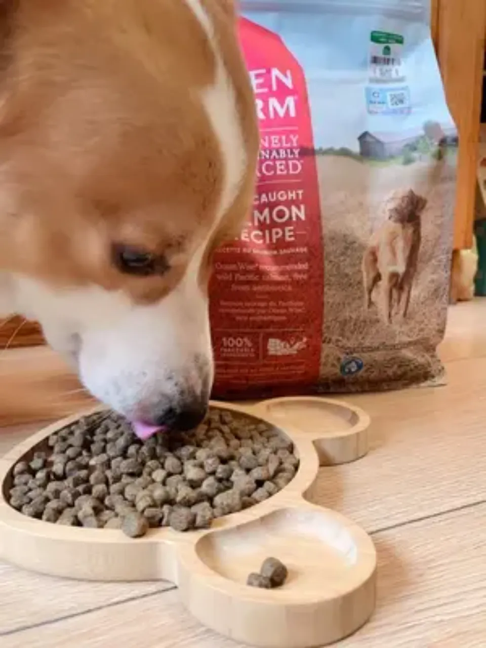 Open Farm Dog Food Review 