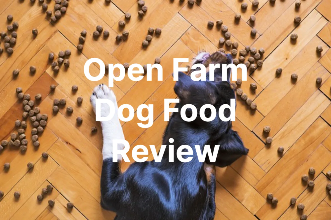 Open Farm Dog Food Review – Is It AAFCO Approved?