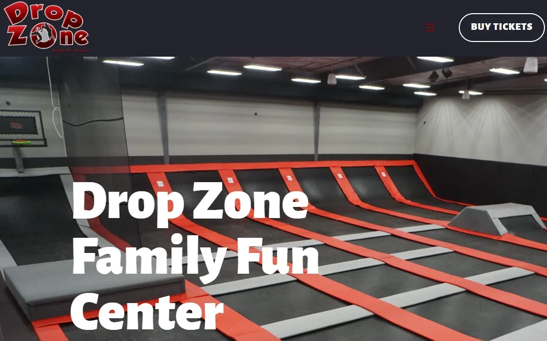 How Does Drop Zone’s Marketing Excellence Powered by Data?
