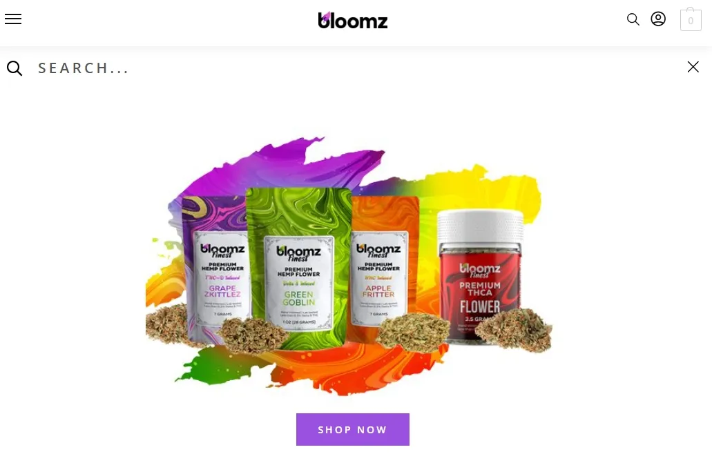 How Can Bloomz Increase Sales with a User-Centric Approach?